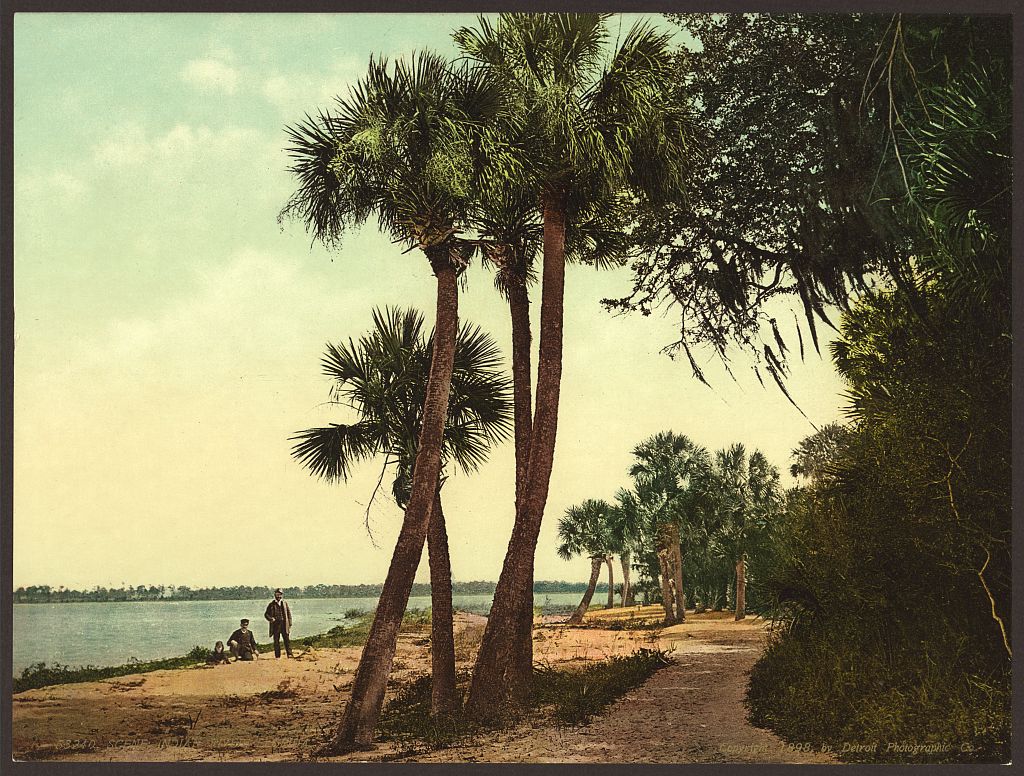 The Indian River shoreline in 1898, the shallow brackish corridor the steamboats ran.
